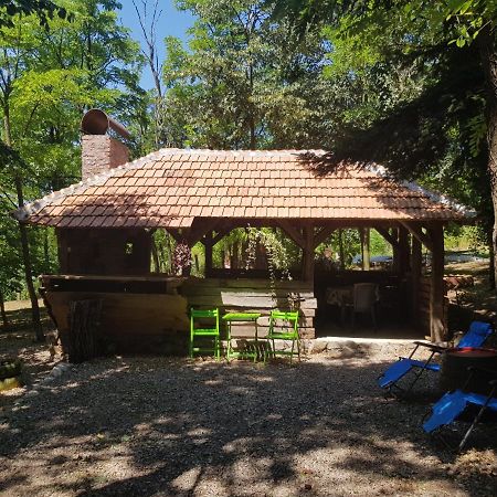 Konaciste Mali Izvor Villa Boljevac Exterior foto