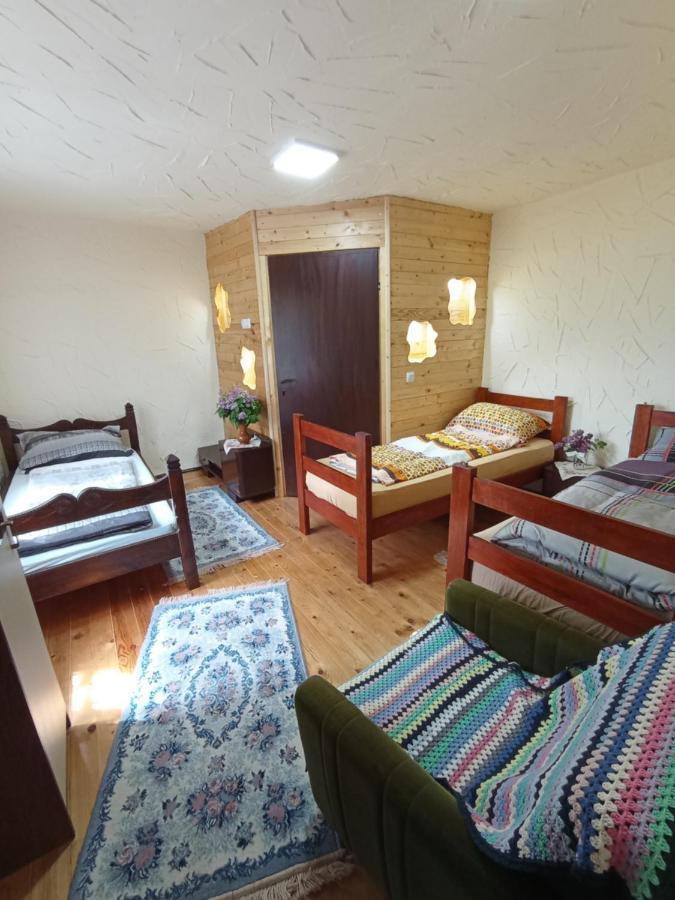 Konaciste Mali Izvor Villa Boljevac Exterior foto