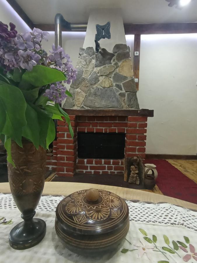 Konaciste Mali Izvor Villa Boljevac Exterior foto