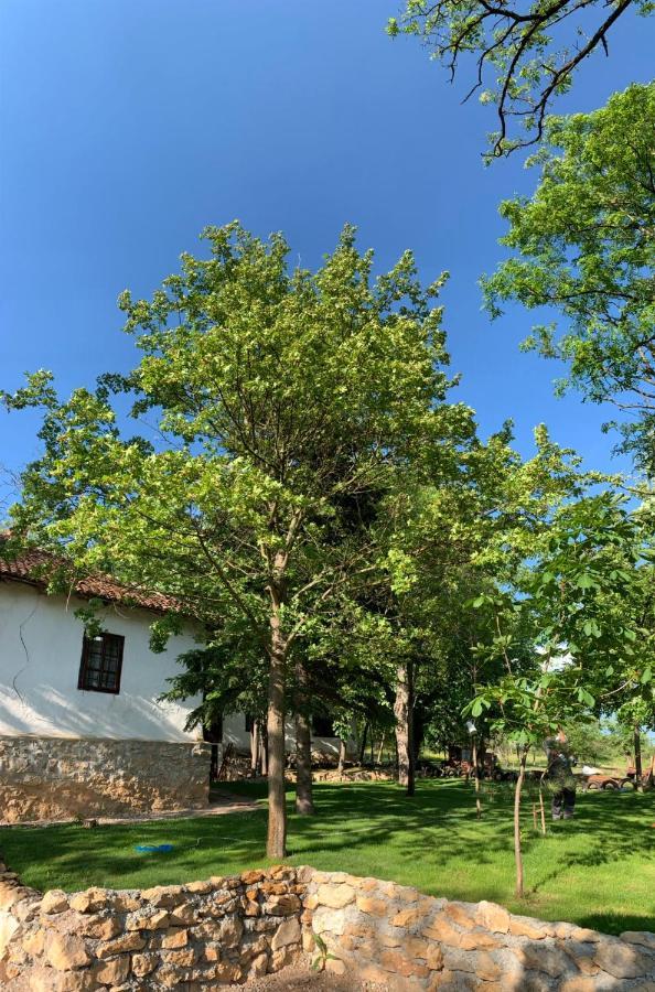 Konaciste Mali Izvor Villa Boljevac Exterior foto