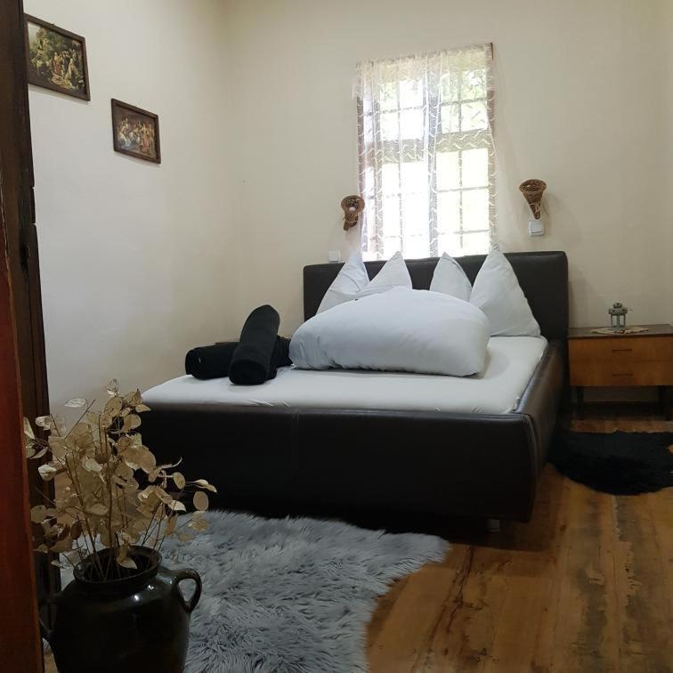 Konaciste Mali Izvor Villa Boljevac Exterior foto