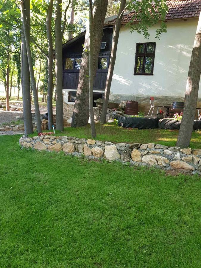 Konaciste Mali Izvor Villa Boljevac Exterior foto