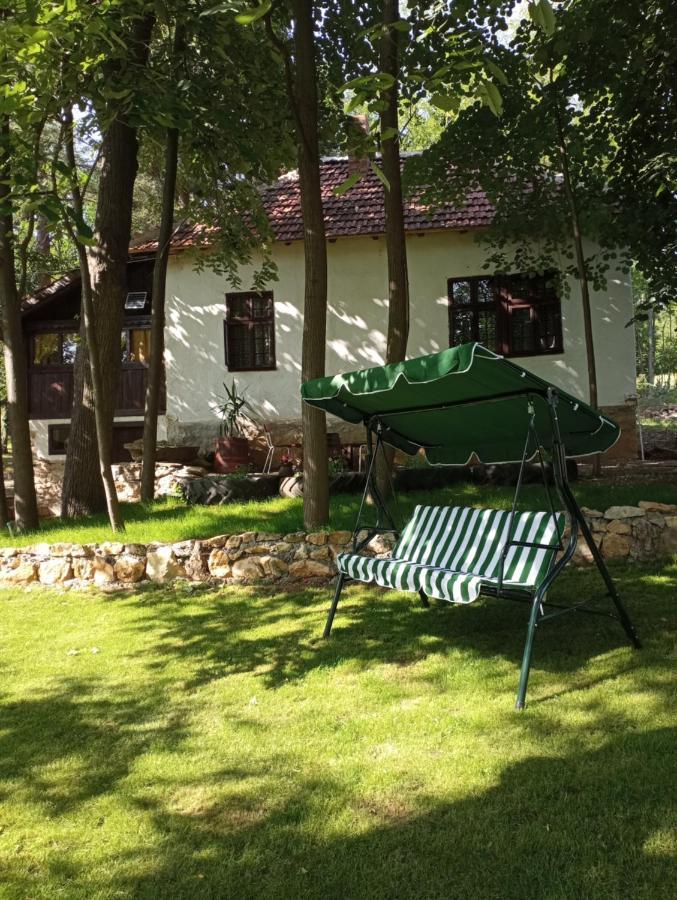 Konaciste Mali Izvor Villa Boljevac Exterior foto