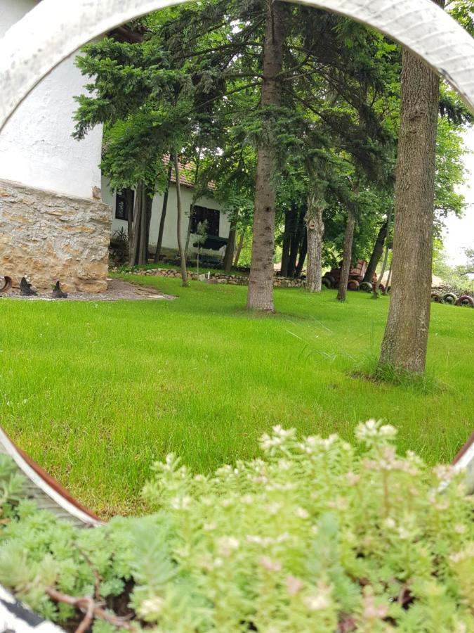 Konaciste Mali Izvor Villa Boljevac Exterior foto