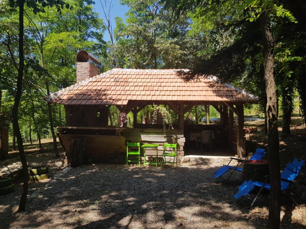 Konaciste Mali Izvor Villa Boljevac Exterior foto